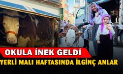 Yerli Malı Haftası'nda ilginç anlar... Okula inek geldi