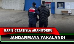 5 yıl 3 ay 6 gün hapis cezası ile aranan şahsı jandarma yakaladı