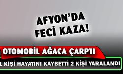 Ağaca çarpan otomobilde 1 kişi öldü, 2 kişi yaralandı