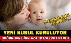 Resmi Gazete'de Yayımlandı... Doğurganlığın Azalmasına Önlem Alınacak