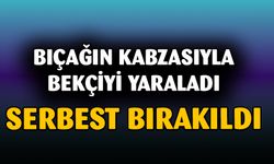 Bekçiyi yaralayan şahıs serbest bırakıldı