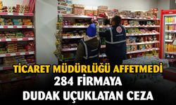 Kurallara uymayan firmalara 1 milyon 148 bin 612 TL idari para cezası kesildi