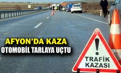 Tarım arazisine devrilen otomobilde 4 kişi yaralandı