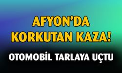 Tarım arazisine devrilen otomobilde 2 kişi yaralandı