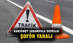 Şarampole devrilen kamyonet sürücüsü yaralandı