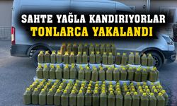 Jandarma sahte zeytinyağı ve salça ele geçirdi