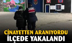 10 yıl 9 ay hapis cezasıyla aranan şahsı jandarma yakaladı