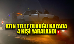 Afyonkarahisar'da atın telef olduğu kazada 4 kişi yaralandı