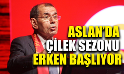 Galatasaray'da çilek sezonu erken başladı
