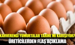 Kahverengi yumurtalar raflardan kalkıyor
