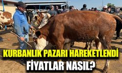 Afyonkarahisar’da canlı hayvan pazarlarında kurban hareketliliği başladı