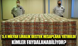 5,4 milyar lira evde bakım yardımı hesaplara yatırıldı