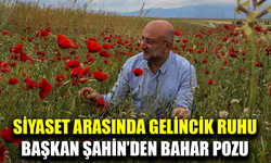Başkan Şahin’den baharın müjdecisi gelinciklerle anlamlı paylaşım