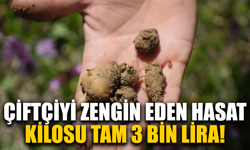 Çiftçiyi zengin eden hasat: Kilosu tam 3 bin lira!