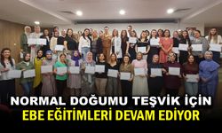 "Ebe Eğitimlerinin Güçlendirilmesi" Programının 2. Grup Eğitimleri Tamamlandı
