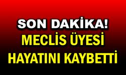Başmakçı Belediye Meclis Üyesi Yasin Toköz Hayatını Kaybetti