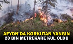 Afyonkarahisar’da Korkutan Yangın: 20 Bin Metrekarelik Alan Kül Oldu
