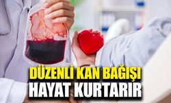 Düzenli ve gönüllü kan bağışı, hayat kurtarır