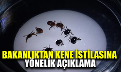 Sağlık Bakanlığı’ndan KKKA uyarısı