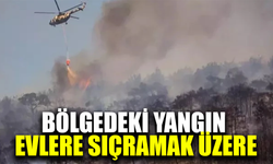 Foça'da Orman Yangını Evlere Sıçradı