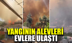 Orman yangınında alevler evlere ulaştı
