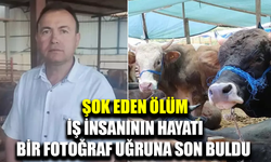 Kurbanlık hayvanın fotoğrafını çekmek isterken hayatını kaybetti