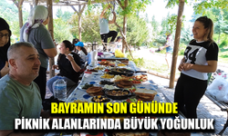 Afyonkarahisar’da Bayramın son gününde piknik alanları doldu taştı