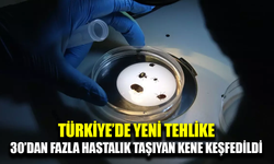 Türkiye’de yeni kene türü tespit edildi