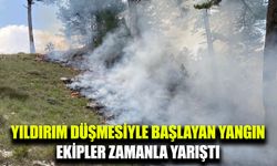 Yıldırım düşmesi sonucu çıkan orman yangını söndürüldü