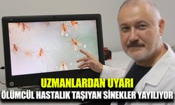 Uzmanlardan ‘Yakarca’ uyarısı