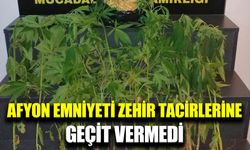 Afyonkarahisar’da 37 kök hint keneviri ve uyuşturucu madde ele geçirildi