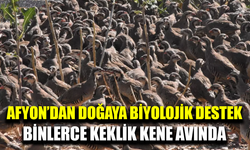 Afyonkarahisar’dan Türkiye’ye doğal mücadele