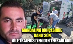 Mandalina bahçesinde av tüfeğiyle vurulmuş halde bulundu