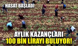 Aylık kazançları 100 bin lirayı buluyor