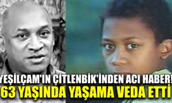 Yeşilçam'ın Çitlenbik'inden acı haber!