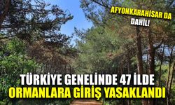 Türkiye genelinde 47 ilde ormanlara giriş yasaklandı