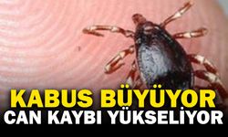 Keneye bir kurban daha... Can kaybı 16'ya yükseldi