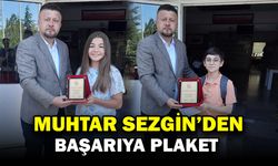 Başarıya Plaket, Geleceğe Umut
