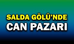 Salda Gölü’nde Can Pazarı