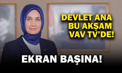 Vali Yiğitbaşı Bu Akşam VAV TV’de
