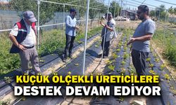Küçük ölçekli üreticilere teknik destek sürüyor
