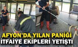 Afyonkarahisar’da yılan paniği