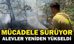 30'uncu saatte kontrol altına alın bazı bölgelerde yeniden alevler yükseldi