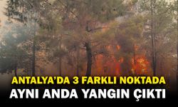 Antalya’da üç ayrı noktada aynı anda yangın çıktı