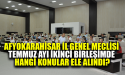 Afyonkarahisar İl Genel Meclisi Temmuz ayı ikinci birleşimde hangi konular ele alındı?