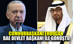 Cumhurbaşkanı Erdoğan BAE Devlet Başkanı ile görüştü