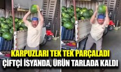 Üretici fiyatlara isyan etti, karpuzları tarlada parçaladı