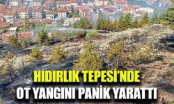 Afyonkarahisar'da ormanlık alanda yangın paniği yaşandı