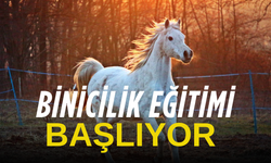 Afyonkarahisar Belediyesi'nden Binicilik Eğitimi Başlıyor