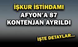 İŞKUR’dan 2.203 Personel Alımı: Afyonkarahisar’a 87 Kontenjan